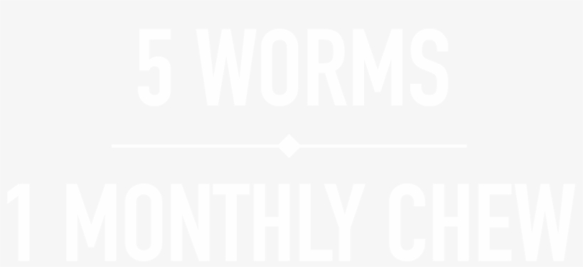 What Is Interceptor Plus - Human Action, transparent png #4661878