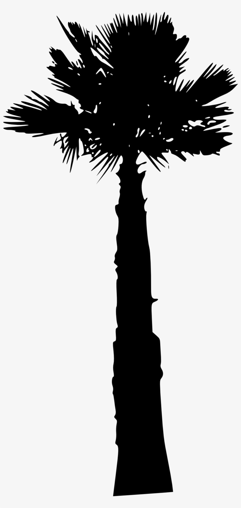 Palm Tree - Palm Trees, transparent png #4662171