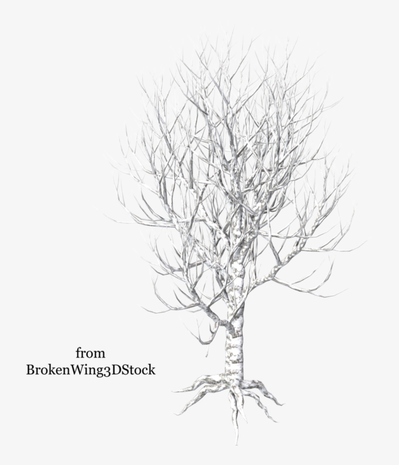 Go To Image - Tree, transparent png #4663987