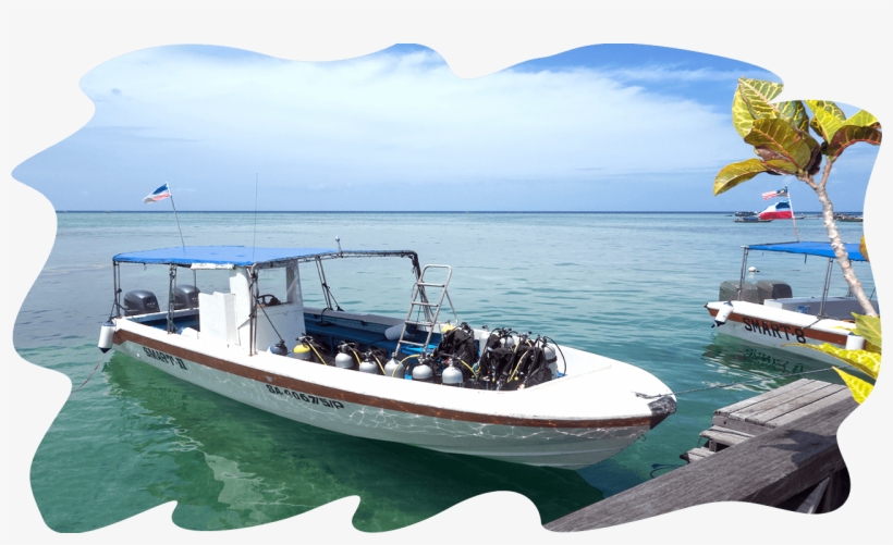The Diving Is From Speedboats « - Mabul Island, transparent png #4667544
