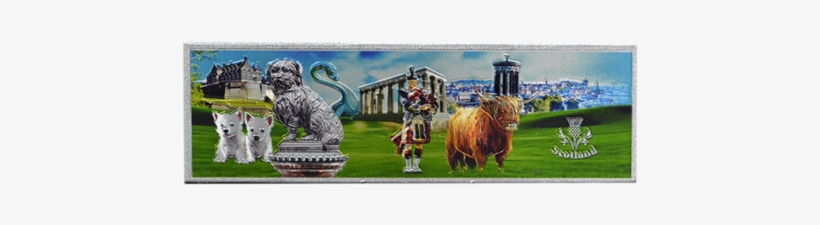 Scottish Shiny Long Fridge Magnet Scotland Collage - Herd, transparent png #4668476