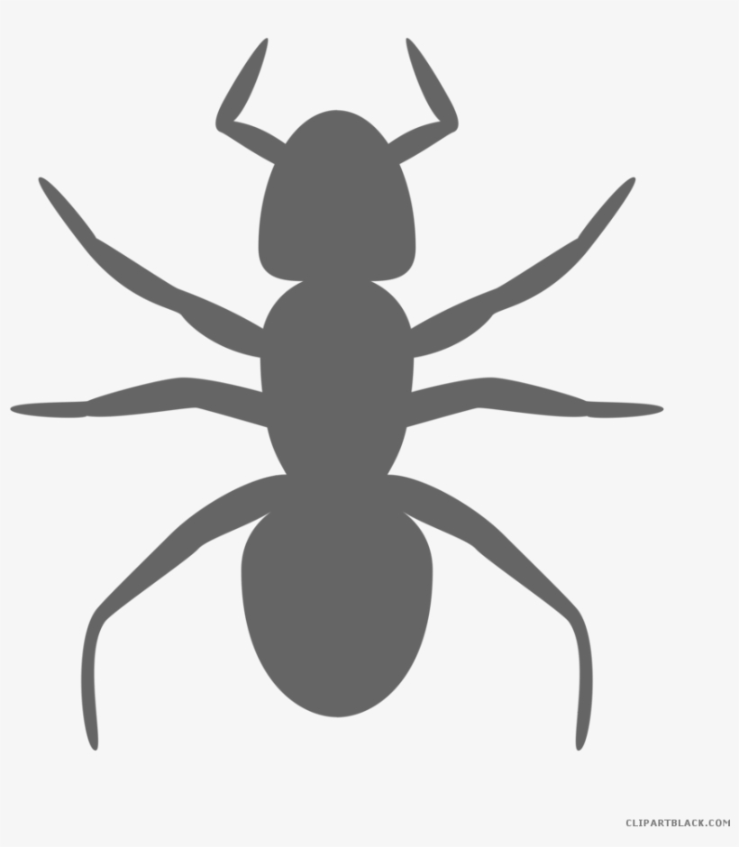 Banner Download Ant Clipart Black And White - Ant Clip Art, transparent png #4669710