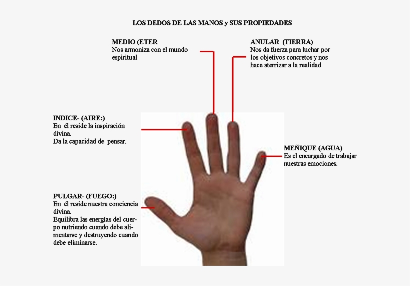 20 De Enero De - Poder De Las Manos, transparent png #4669773