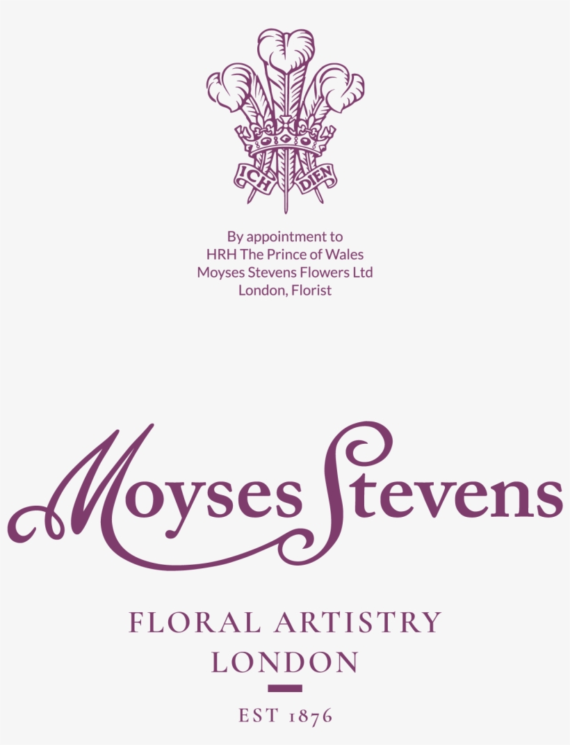 Moyses Stevens - Parker Sonnet Brushed Steel Ct Ballpoint Pen Gift Set, transparent png #4670092