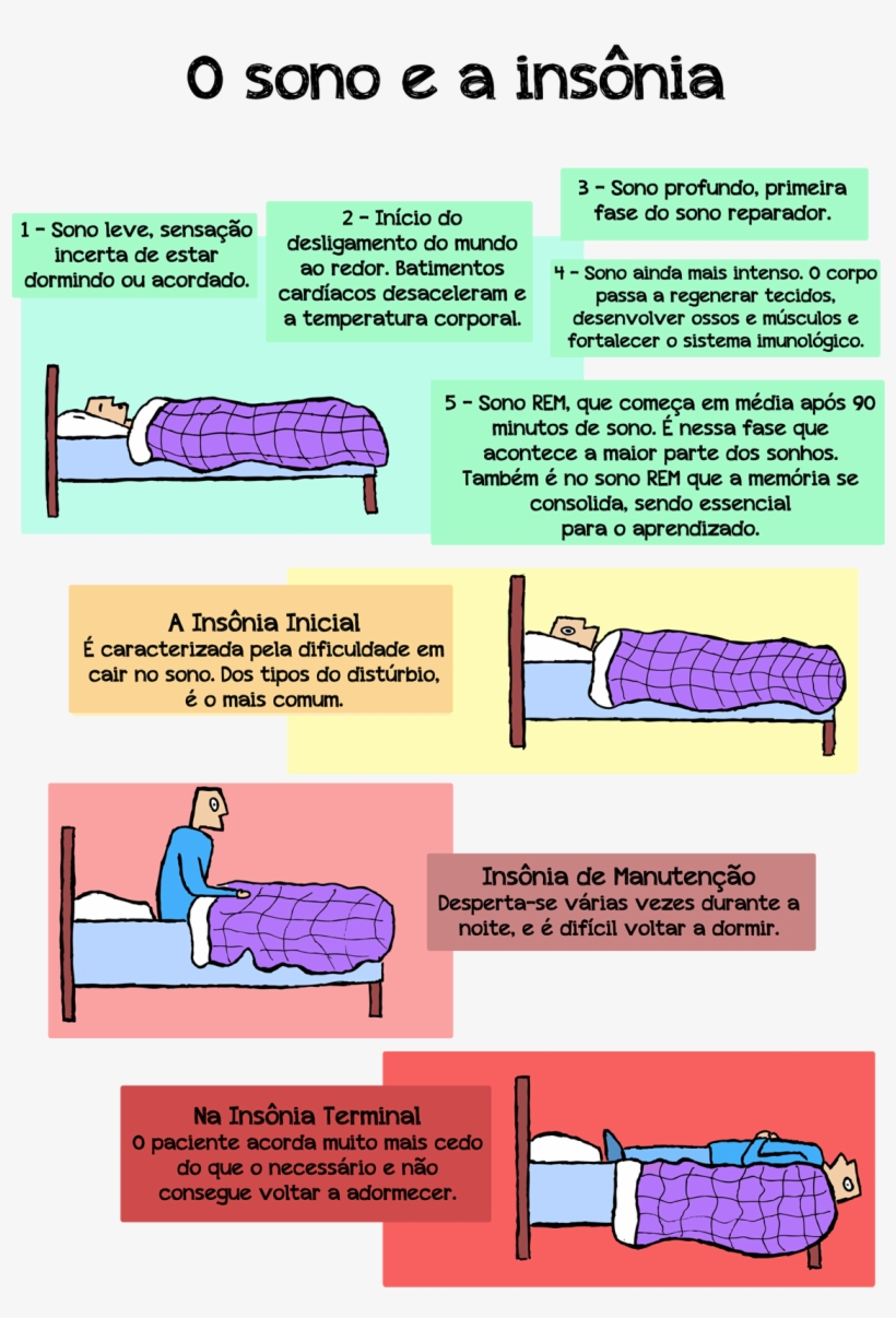 Usp Inicia Primeiro Estudo Com Humanos Sobre Os Efeitos - Poster, transparent png #4671505