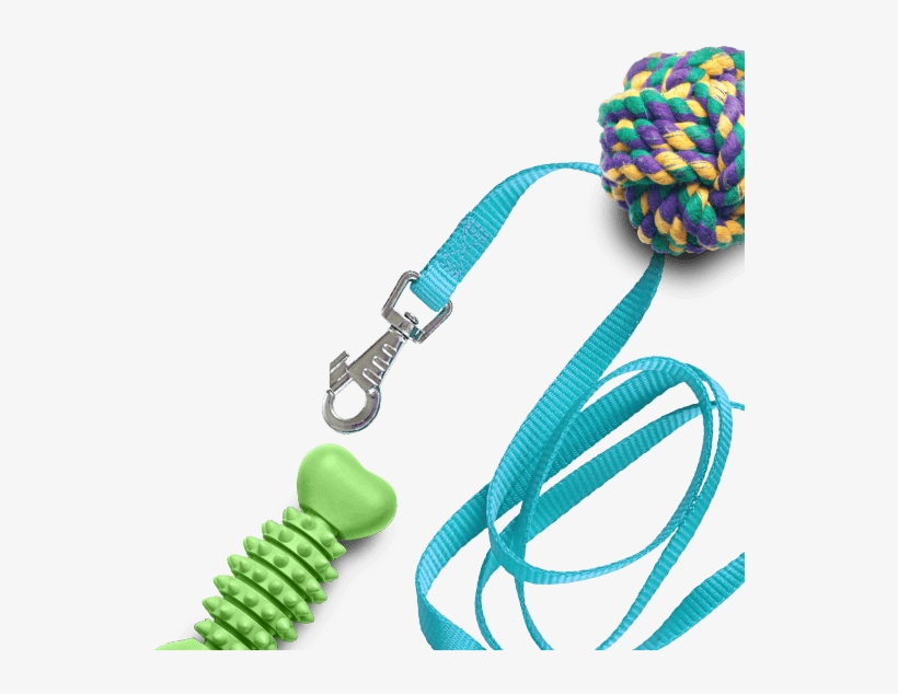 “our 100% Petproof Floors Are Good At Staying Beautiful - Dog Toy, transparent png #4673214