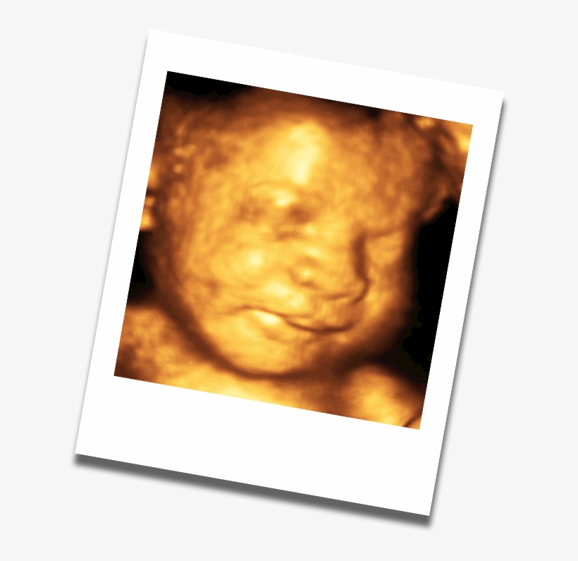 World Of My Baby Offers A Full Range Of Services For - Photograph, transparent png #4673718