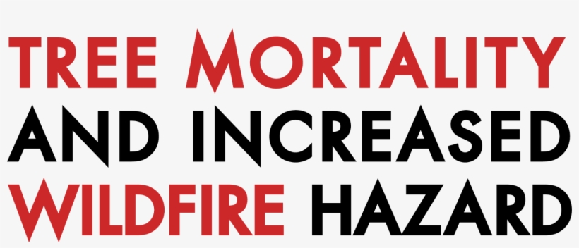 As The Number Of Dead Trees Continues To Rise It Will - Suki-ya Pavilion Kl, transparent png #4674515