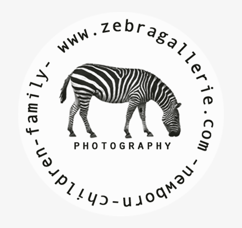 Cart $0 - 00 - Zebra, transparent png #4675205