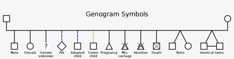 Open - Female Genogram Symbol, transparent png #4676326