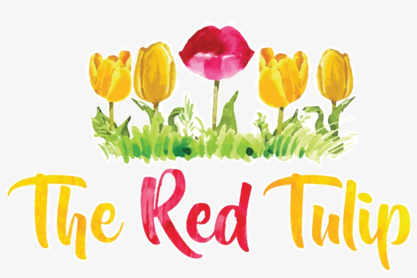 Sprenger's Tulip, transparent png #4676632