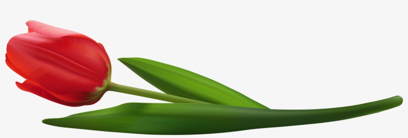 Portable Network Graphics, transparent png #4676896
