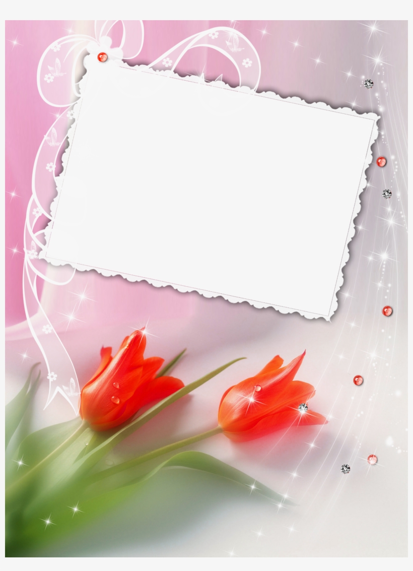 Beautiful Transparent Frame With Red Tulips View Full, transparent png #4677213
