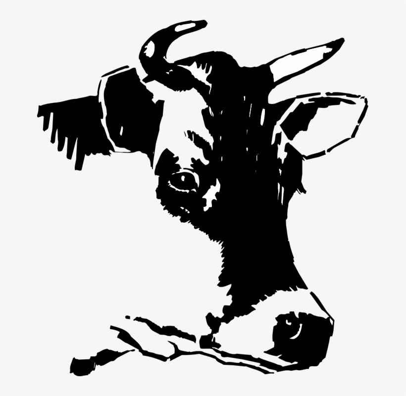 Related Wallpapers - Cow Head Clipart Black And White, transparent png #4677760