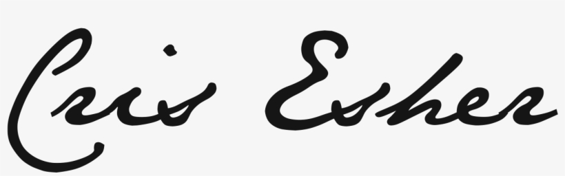 Libreta La Sirenita / Notebook The Little Mermaid • - Cruz 2016-jan Gray 400 Rectangle Car Magnet, transparent png #4678749