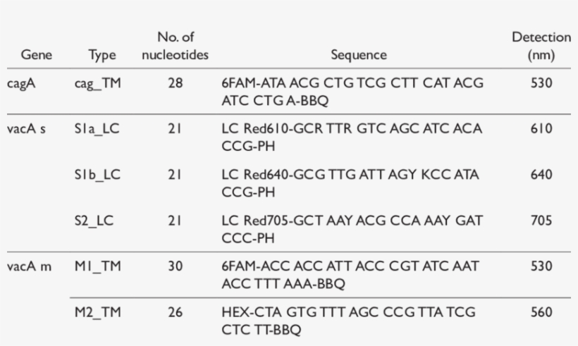 -pcr Probes For Detection Of Caga And Vaca Sequences - Number, transparent png #4679059