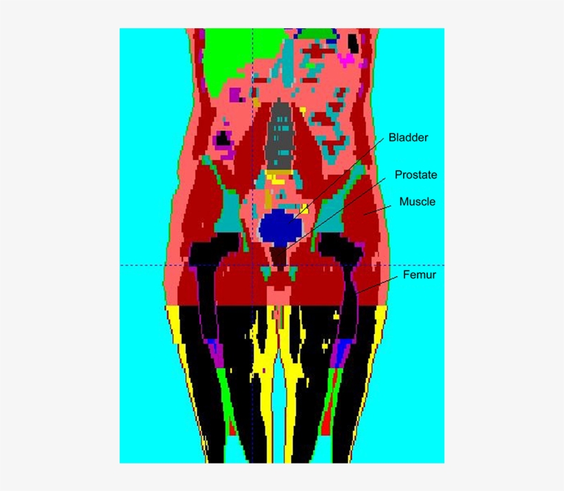 Visualization Of The Different Structures Present In, transparent png #4679256