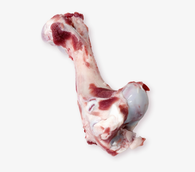 Femur Bone - Lamb And Mutton, transparent png #4679703