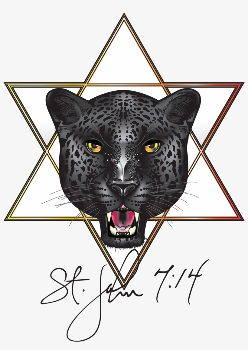 Second Concept - Cheetah, transparent png #4679956