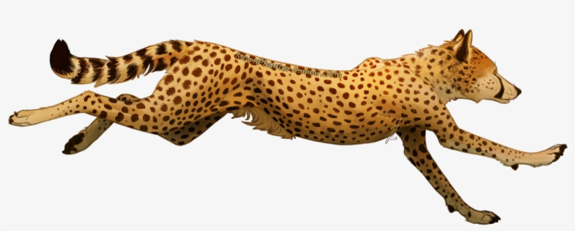 Stäppvarg Rasbild - Wiki, transparent png #4680024