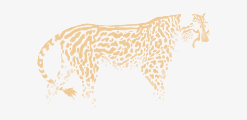 Jaguar, transparent png #4680132