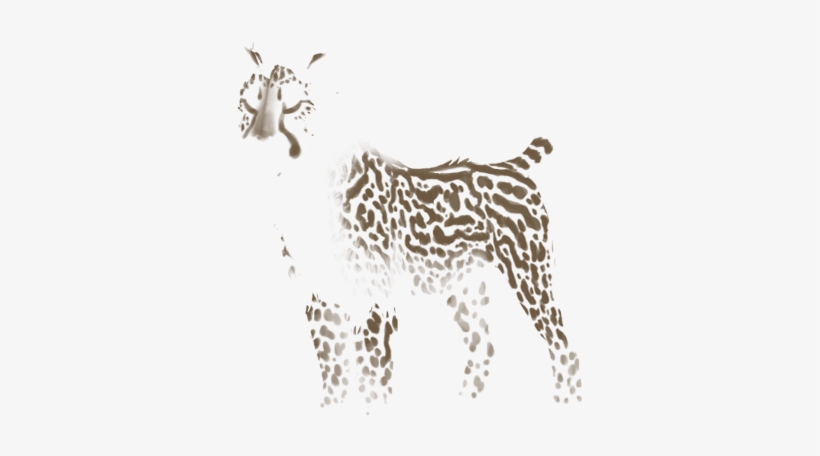 Tiger, transparent png #4680554