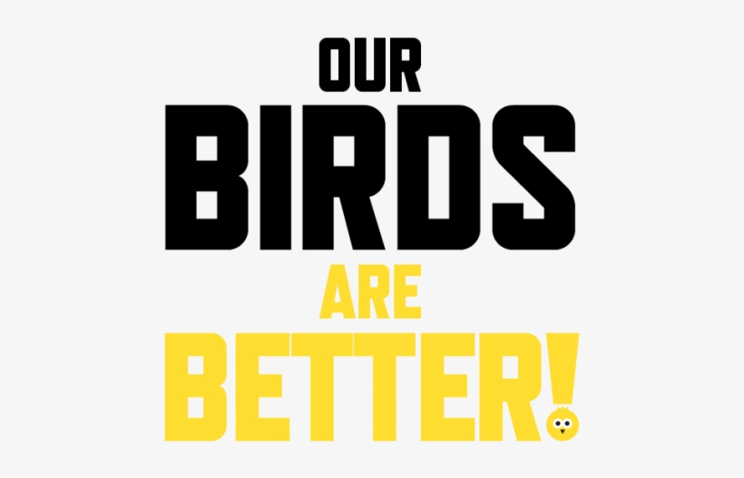 Our Birds Are Better - Orange, transparent png #4681520