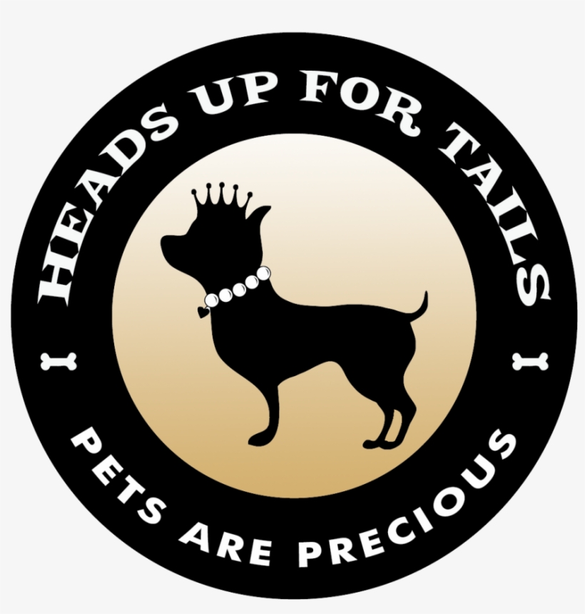 Heads Up For Tails, India-based Dog Accessory Brand, - Heads Up For Tails, transparent png #4682687