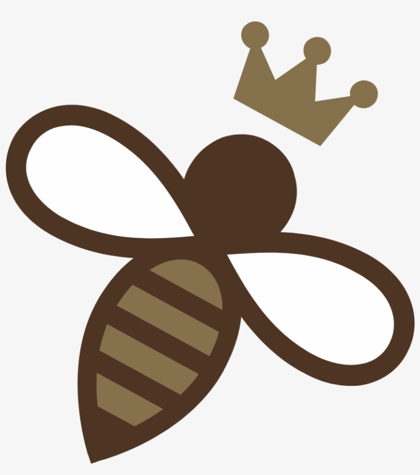 Droga Chocolates, transparent png #4682874