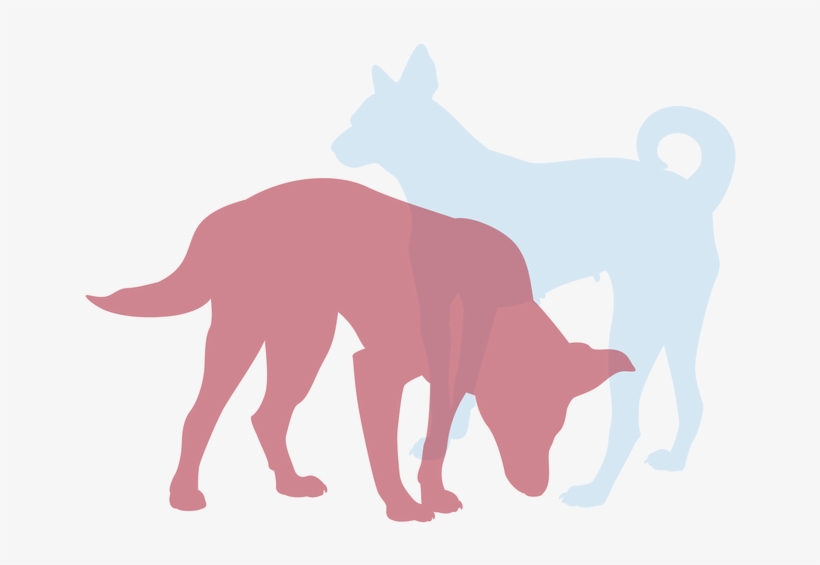 Dog, transparent png #4683000
