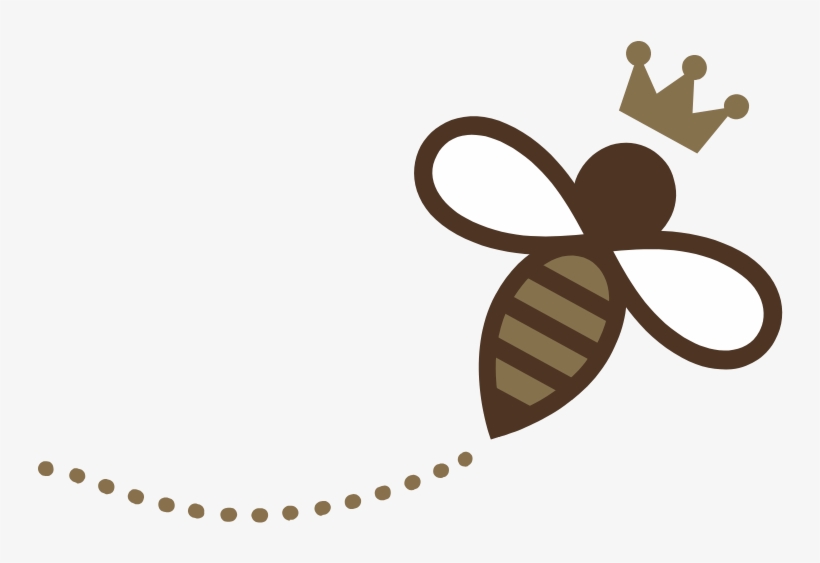 Droga Chocolates Droga Chocolates - Droga Chocolates, transparent png #4683442