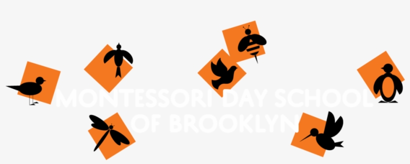Montessori Day School Of Brooklyn, transparent png #4686029