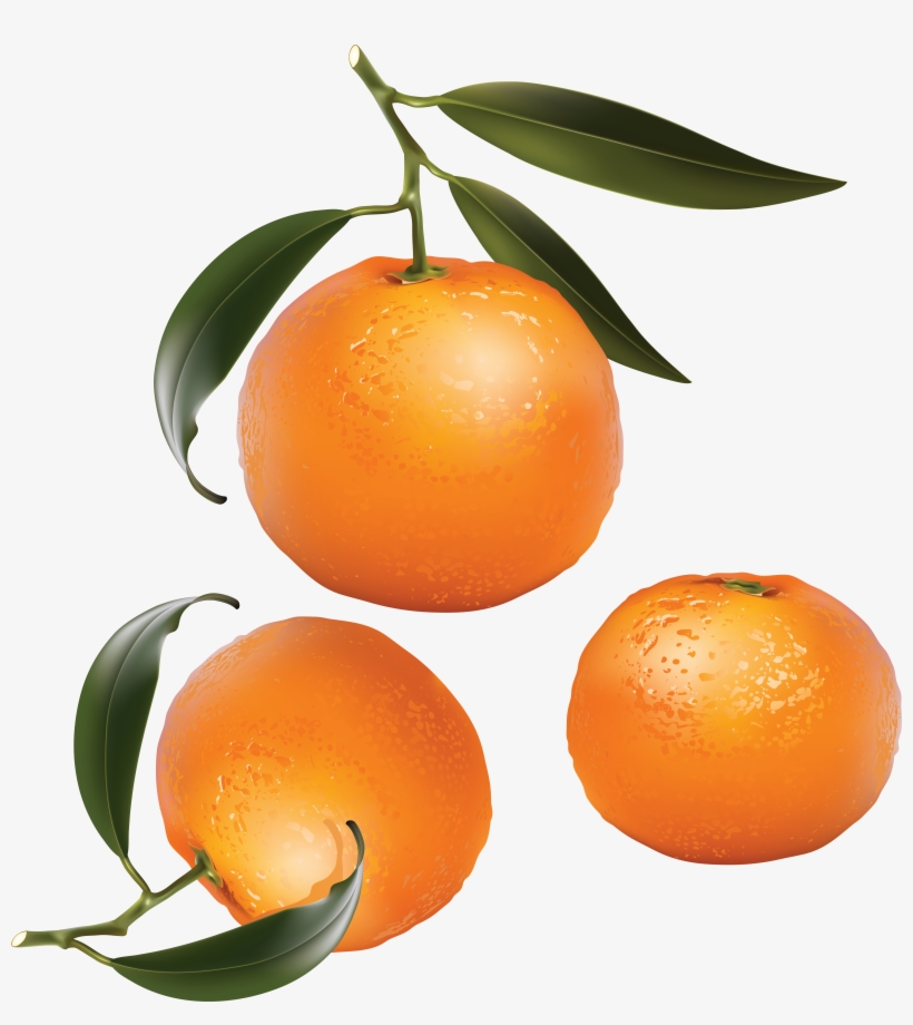 Oranges Clip Art, transparent png #4687693