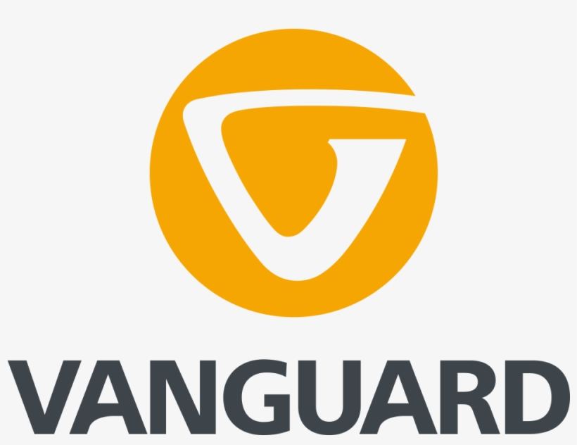 A Global Leader In Photo-video Accessories And Sports - Vanguard Alta Rise 33 Camera Shoulder Bag, transparent png #4688984