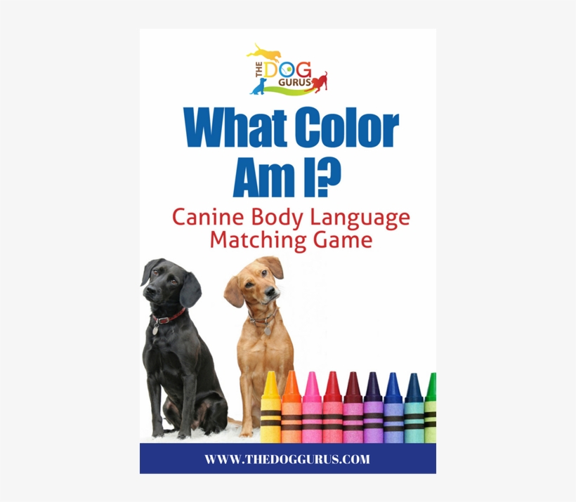 Canine Body Language Made Easy To Learn As A Fun Game - False Rechargeable Waterproof Lcd 100lv Level Shock, transparent png #4690867
