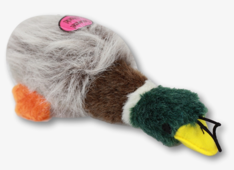 Img 3815 Clipped Rev 2 Ry8ncq0g9imd - Happy Pet Migrator Dog Toy - Large Mallard, transparent png #4690876