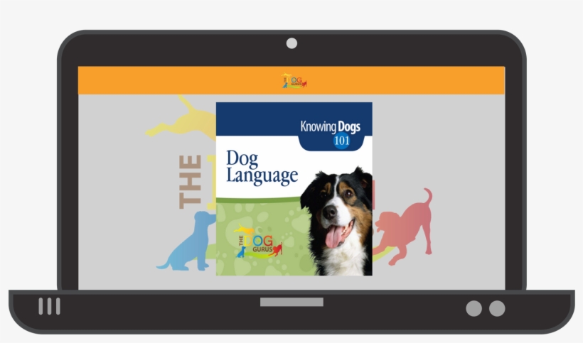 Knowing Dogs 101 Is Recommended For All Staff Members - Herding Dogs, transparent png #4691428
