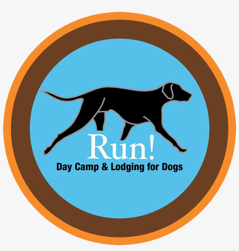 Dog Catches Something, transparent png #4695812