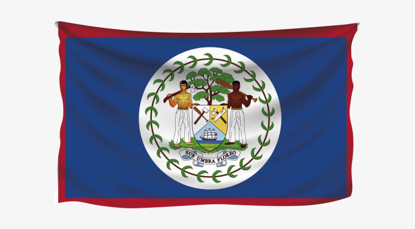 Belize Flag - Flag Of Belize Png, transparent png #4697485
