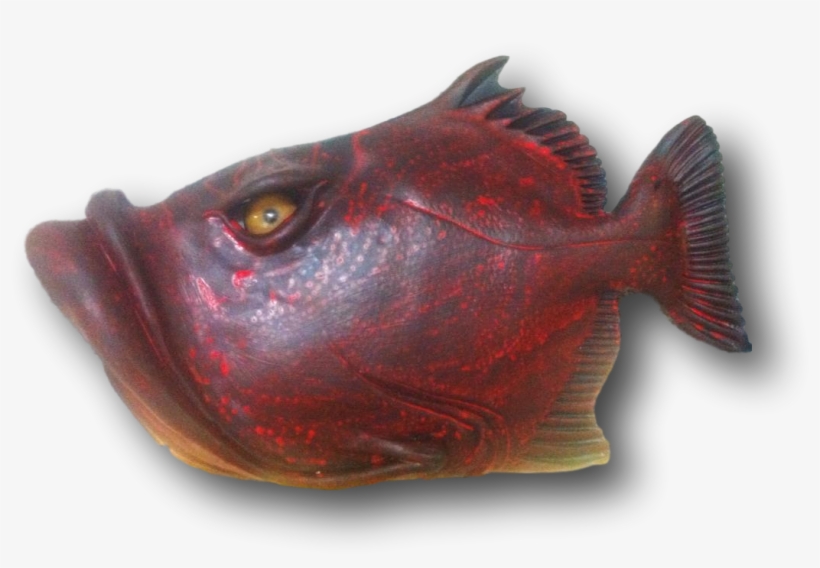 Fish With Attitude - Deep Sea Fish, transparent png #4697858