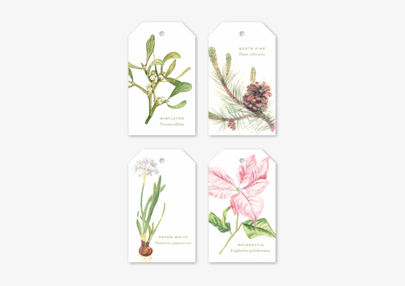 Christmas Botanical Unpersonalized Multi Gift Tags - Christmas Day, transparent png #4699004