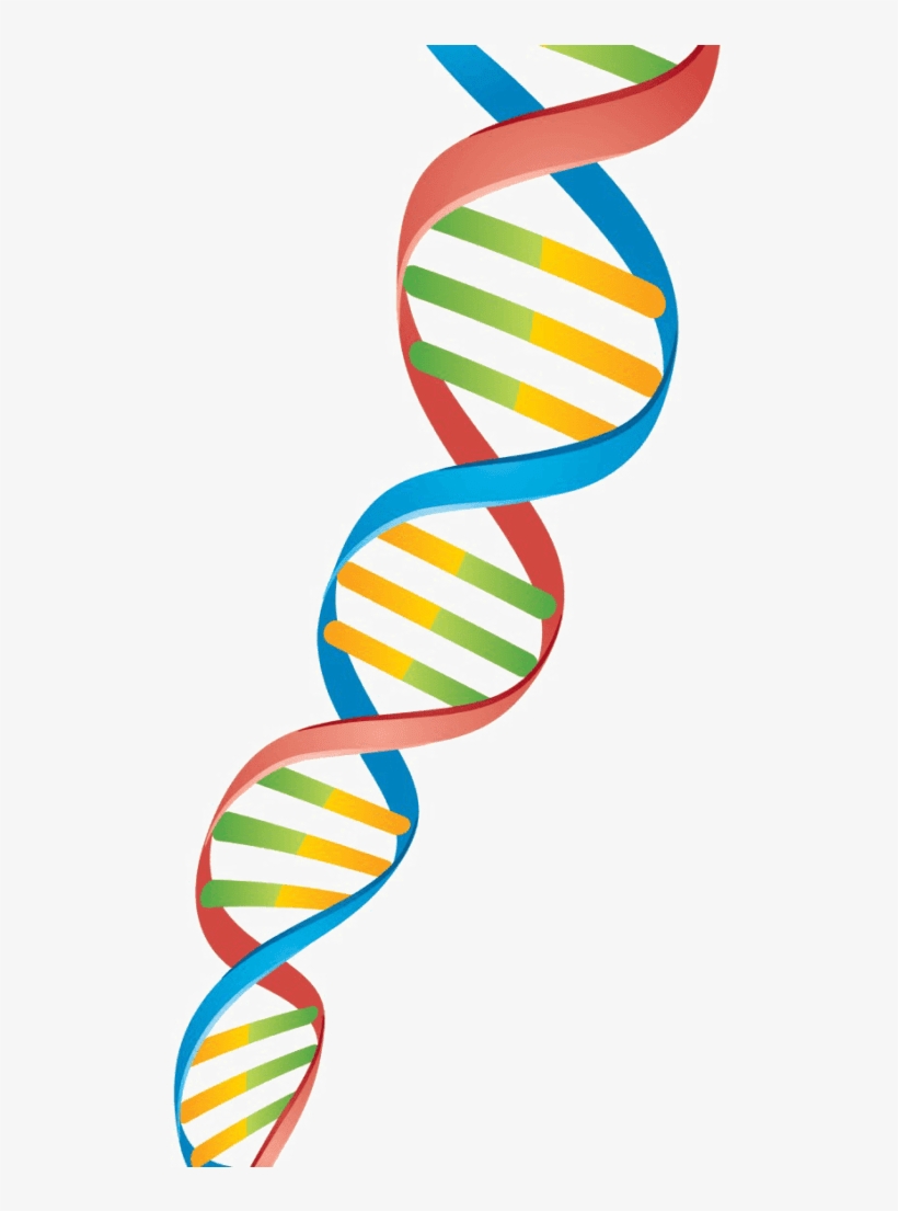 Sometimes Viral Can Be Good - Peoria, transparent png #4699572