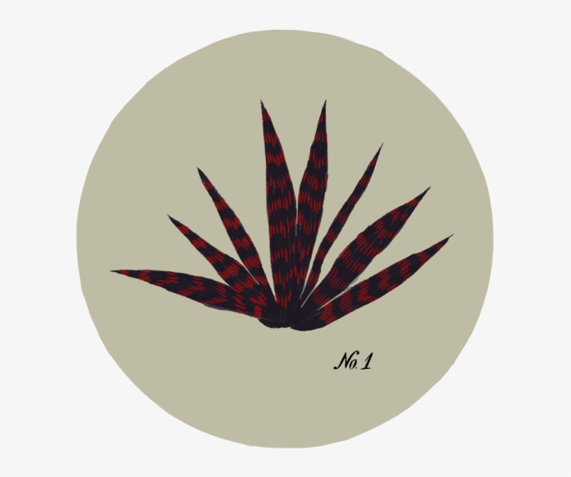 Illustrations Inspired By A Visit In A Botanical Garden - Botanical Garden, transparent png #4699911