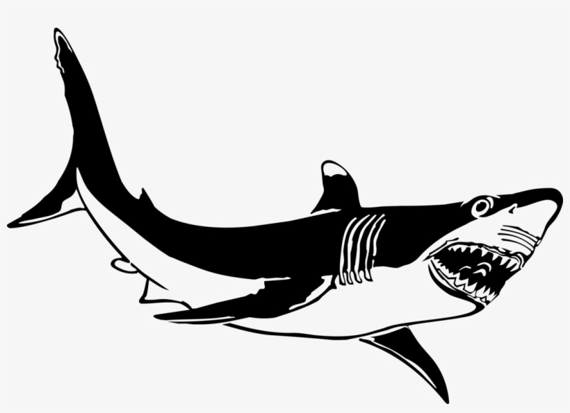 Bull Shark Clipart Jaws - Great White Shark Clip Art, transparent png #470062