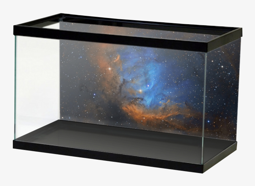 Tulipnebula, transparent png #470262