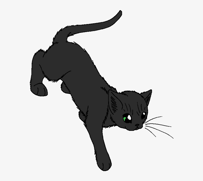 Night Of No Stars - Warrior Cats Night Of No Stars, transparent png #471217