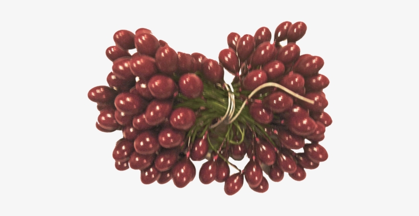 Burgundy Holly Berries 5 Gross - Seedless Fruit, transparent png #471284