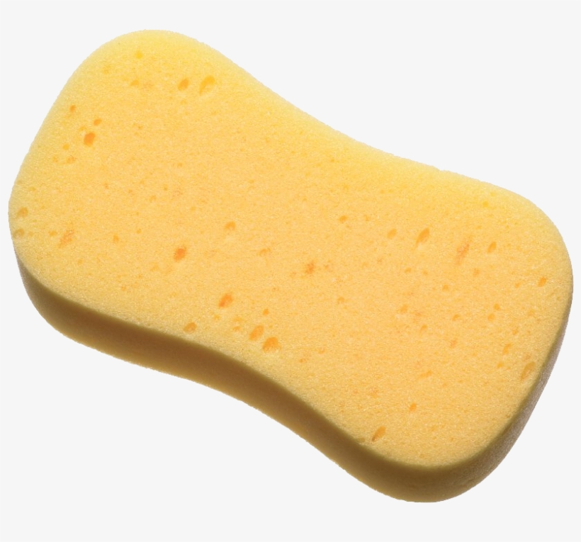 Foam Sponge, transparent png #471471
