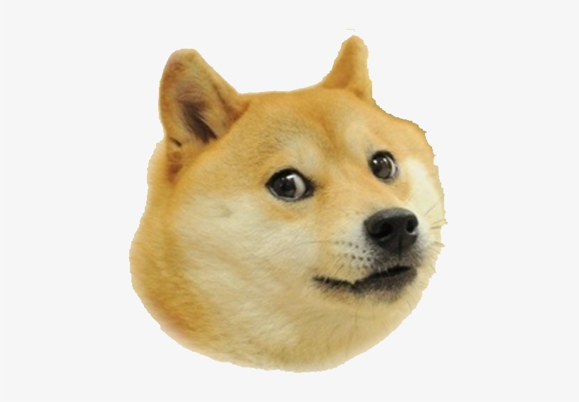 Doge Face - Doge Png, transparent png #471817