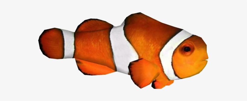 Clownfish Zerosvalmont - Clown Fish Png, transparent png #471953